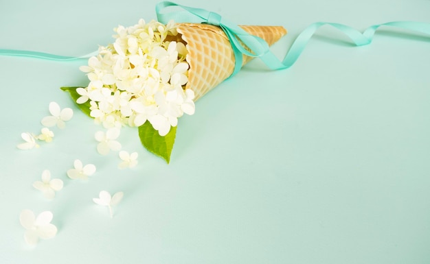 Mooie witte hortensia bloemen in een wafel kegel op een blauwe achtergrond