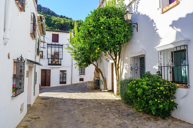 Mooie witte huizen met getraliede ramen en sinaasappelboom met vruchten op een zonnige dag Grazalema Cadiz