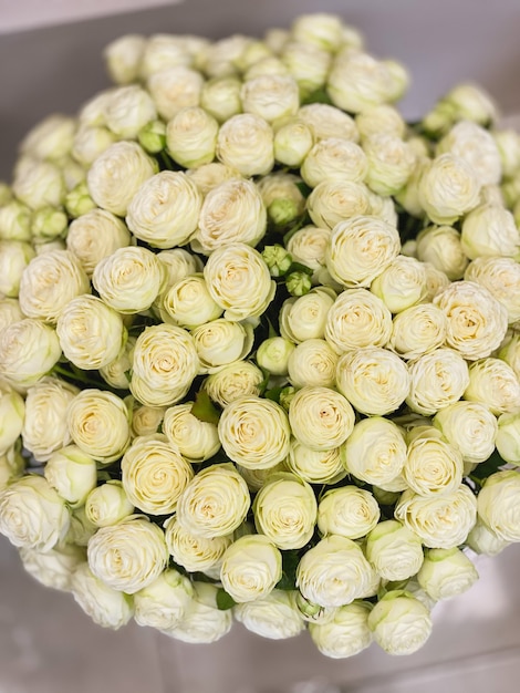 Mooie witte pioenvormige struikrozen. delicaat lenteboeket van witte bloemen, romantiek