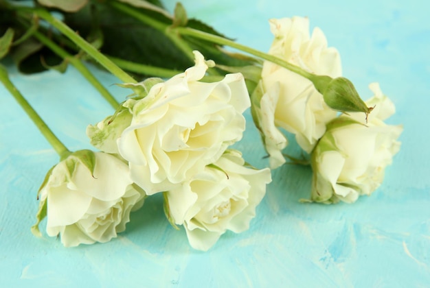 Mooie witte rozen close-up, op gekleurde achtergrond