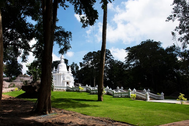 Mooie witte stoepa-schrijn in de buitentuin in de wat tham klong phen-bostempel voor thaise mensen en buitenlandse reizigers reizen bezoek respect bidden op de phu phan-berg in nong bua lamphu, thailand