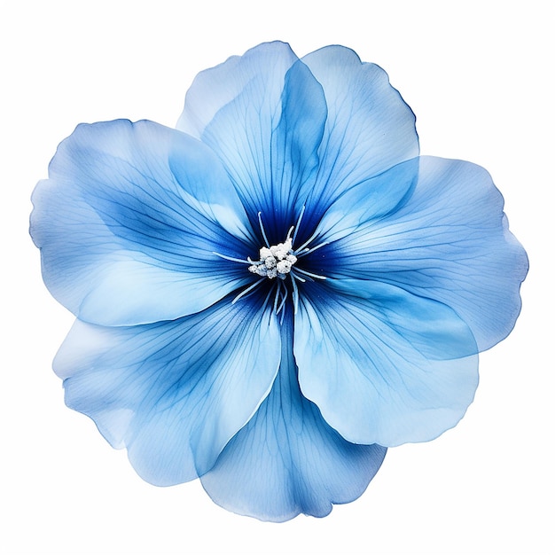 Mooie zachte blauwe bloem