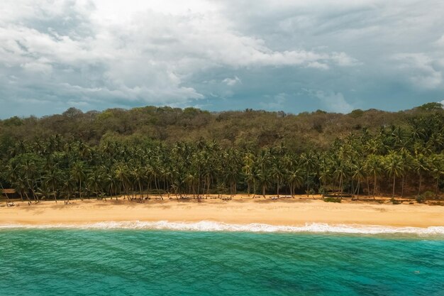 Mooie zandstrandresort met palmbomen en zeesurfen met golven stil strand sri lanka