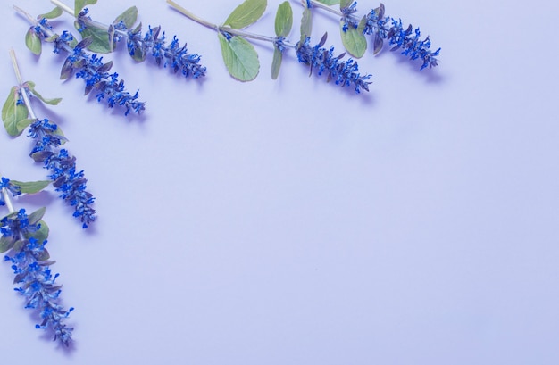 Mooie zomerbloemen op blauwe achtergrond