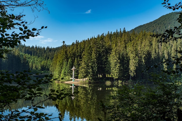 Mooie zomerdag het meer is omgeven door bos Synevir Karpaten