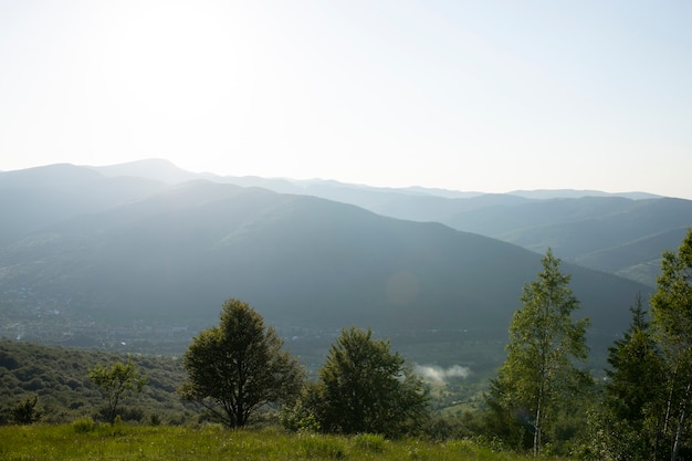 Mooie zomerse bergen met blauwe lucht