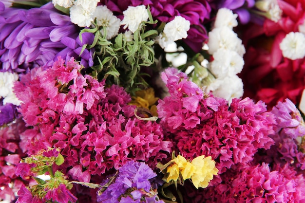 Mooie zomerse bloemen close-up achtergrond