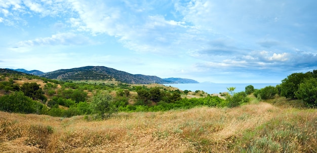 Mooie zomerse kustlijn panorama