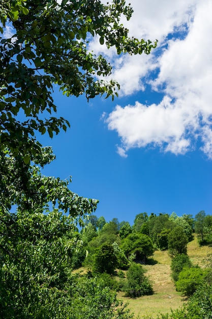 Mooie zomerse landschap in Savsat, provincie Artvin, Turkije