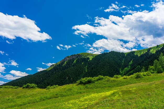 Mooie zomerse landschap in Savsat, provincie Artvin, Turkije