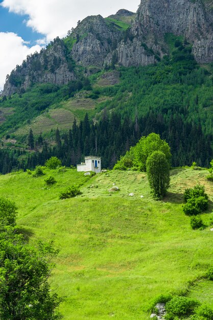 Mooie zomerse landschap in Savsat, provincie Artvin, Turkije