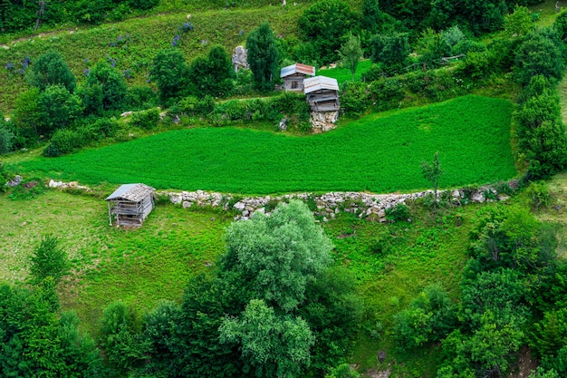 Mooie zomerse landschap in Savsat, provincie Artvin, Turkije