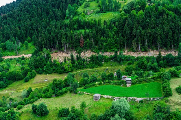 Mooie zomerse landschap in Savsat, provincie Artvin, Turkije