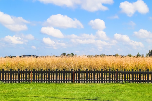 Mooie zomerse landschap op een zonnige dag met blauwe lucht.