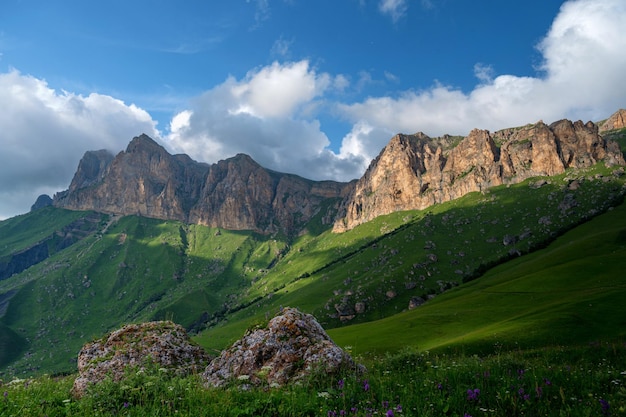 Mooie zomerse landschap van groene weide in de bergen