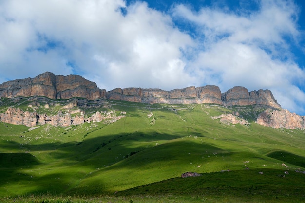 Mooie zomerse landschap van groene weide in de bergen