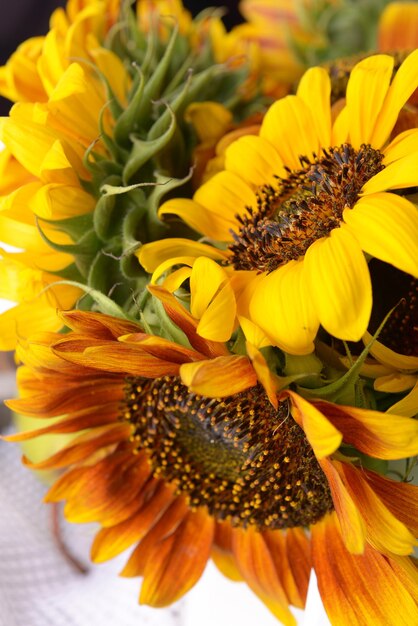 Mooie zonnebloemen close-up