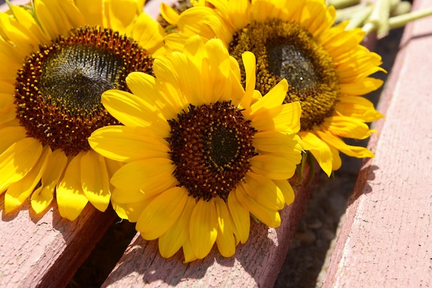 Mooie zonnebloemen op houten bank buitenshuis