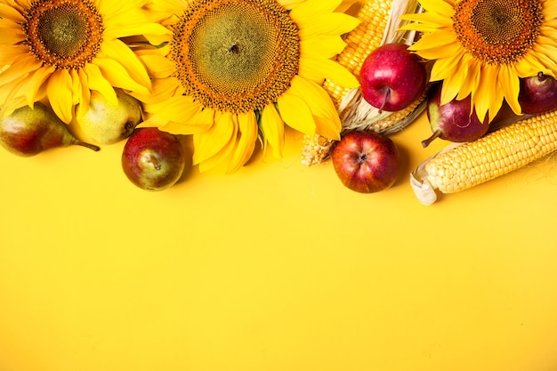 Mooie zonnebloemen, peren en maïs op gele achtergrond. Vakantie oogst concept.