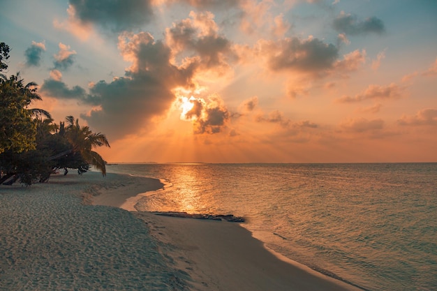 Mooie zonnestralen romantisch paradijs eiland landschap vakantie palm silhouet geweldige strandavond