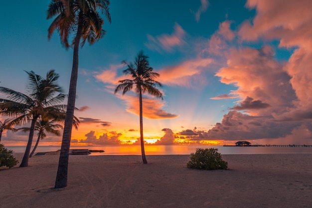 Mooie zonsondergang bij het landschap van het palmstrand. Tropische kust, verbazingwekkende kleurrijke bewolkte lucht, rustige lucht