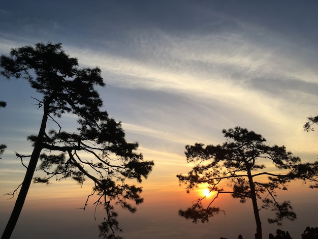 Mooie zonsondergang op het nationale park van Phukradueng, Loei Thailand.