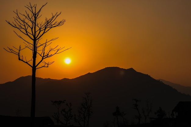 Mooie zonsondergang silhouet in de heuvels met bomen in Khotang, Nepal