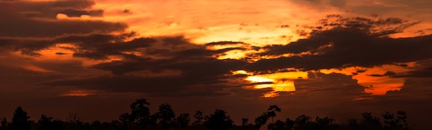 Mooie zonsonderganghemel. Cloudscape. Gouden zonsondergang boven silhouetboom. Panoramisch uitzicht op donkere wolken.