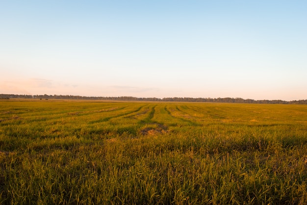 Mooie zonsonderganghemel