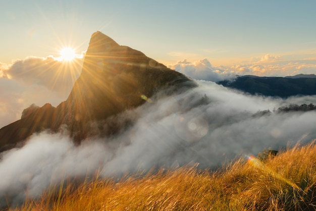 Mooie zonsopgang in de bergen. Wolken die van de ene heuvel naar de vallei stromen met zonnestralen. Uitzicht op Meesapulimala in de buurt van Kolukkumalai thee asstate in Indiase Ghats