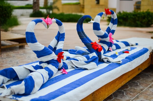 Mooie zwanen van handdoeken op het strand in Egypte