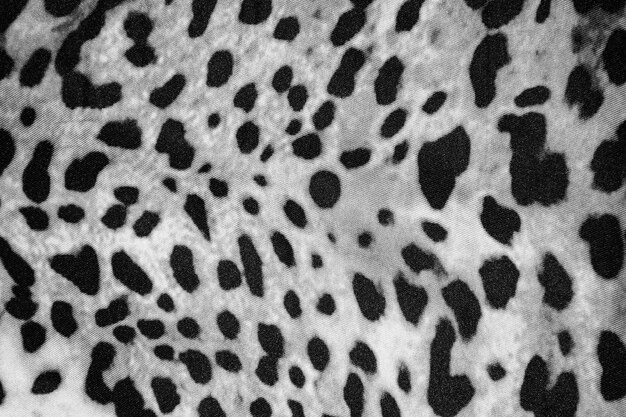 Foto mooie zwart-wit animal print achtergrondstructuur