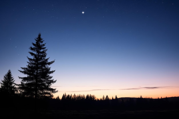 the moon and jupiter are seen in the sky over a forest