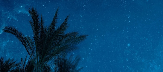 The moon shines at night over palm trees on the sea