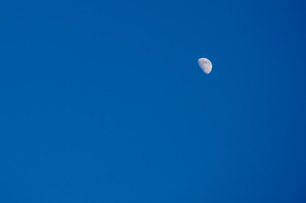 Moon and skynight sky with a moon and shining stars