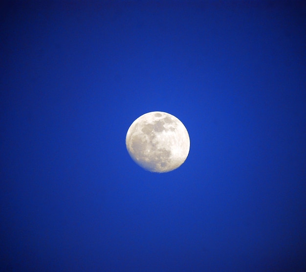 moon in winter on a blye sky image of a