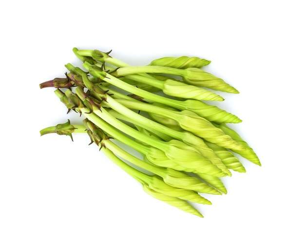 Moonflower (Ipomoea alba L.) isolate on white background, For cooking