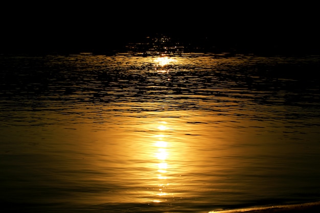 Luce della luna sul fiume di notte dell'acqua