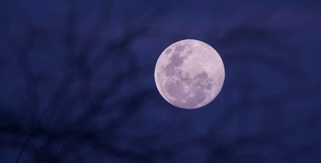 Moonrise Full moon in the sky Patagonia Argentina