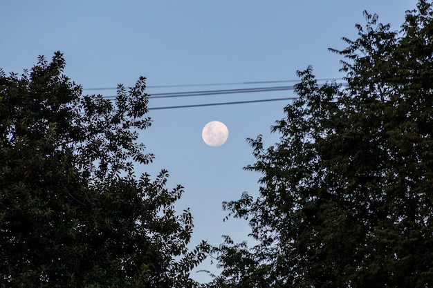 ブラジル・リオデジャネイロの空に沈む月没