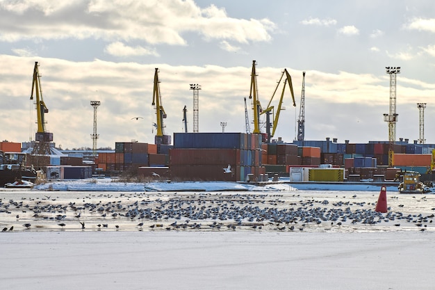 Navi da carico ormeggiate e gru portuali in porto. porto marittimo, cantiere di container merci, terminal per navi portacontainer, cantiere navale. affari e commercio, logistica. scena industriale invernale.