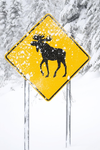 Moose crossing sign during a snowstorm