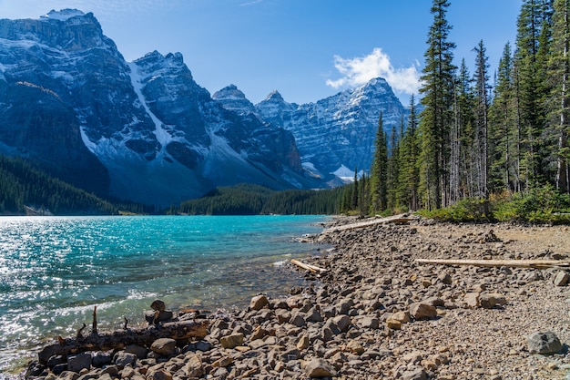 Moraine meer mooi landschap in zonnige zomerdag ochtend. Banff National Park, Canadese Rockies, Alberta, Canada