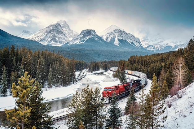 Morants Curve met iconische rode vrachttrein die in de winter door Bow Valley en Rocky Mountains in Banff National Park rijdt