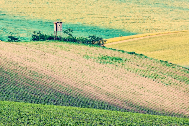 Moravisch glooiend landschap met keet