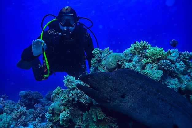 Moray eel under water, nature photo wild snake predator marine in the ocean