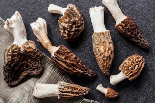 Morel mushrooms closeup on black background