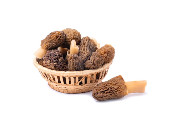Morel mushrooms in a wicker basket and one mushroom lying next to the basket isolate on a white background