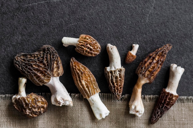 Morel paddestoelen close-up op zwarte achtergrond