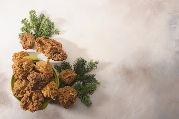 Morels mushrooms and firtree branches arranged on light background